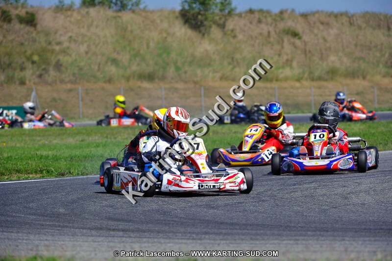 DSC_ (1313).jpg